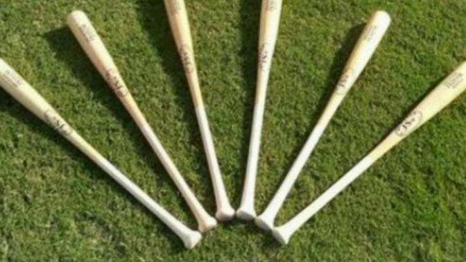 Beyzbol sopasını sporda mı kullanırdınız kavga da mı?