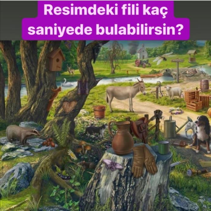 Resimde ki fili kaç saniyede bulabilirsiniz?