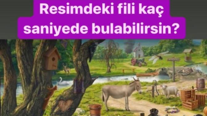 Resimde ki fili kaç saniyede bulabilirsiniz?