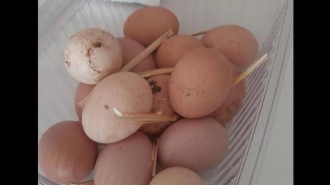 Tükettiğiniz gıdaların üretim şekli sizin için ne kadar önemli? Gıdanın sağlıklı olduğu nereden anlaşılır?