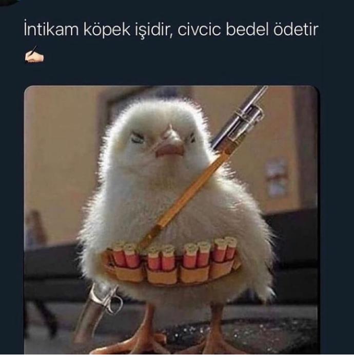 Beni nasıl bilirsinizzzz?
