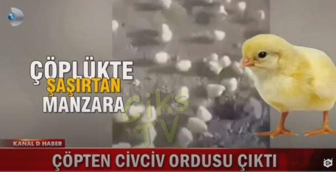 Beni nasıl bilirsinizzzz?