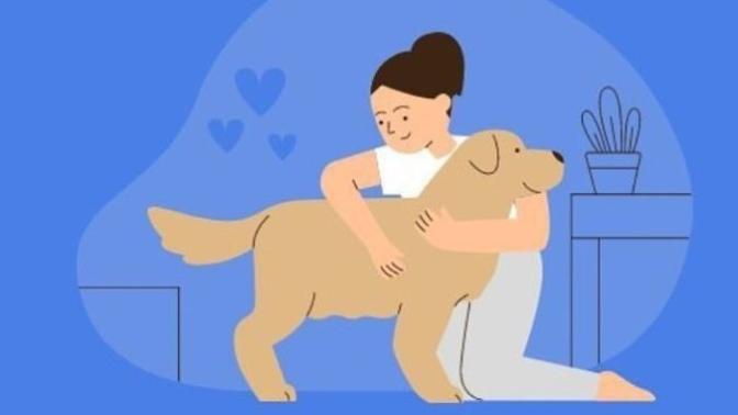 Beklenen an geldi! Yardıma ihtiyacı olan hayvanlar HELPIMAL uygulaması ile tespit edilecek , Bu konuda ne düşünüyorsunuz🐱🐶?