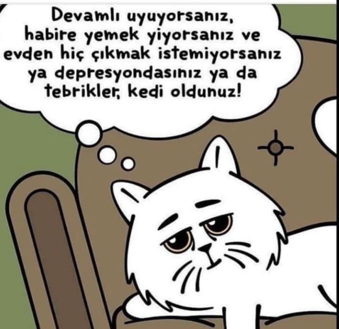 Günaydın uykuya doyamayanlarrr depresyonda mısınız, kedi misiniz? Depresif bir kedi misiniz, nesiniz siz 🐈⬛ ?