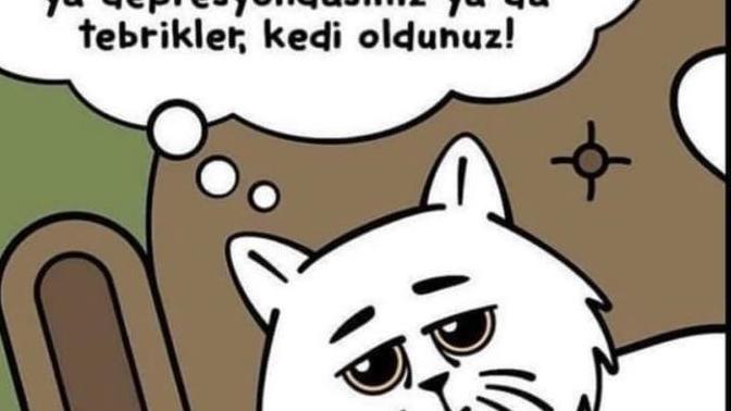 Günaydın uykuya doyamayanlarrr depresyonda mısınız, kedi misiniz? Depresif bir kedi misiniz, nesiniz siz 🐈‍⬛ ?