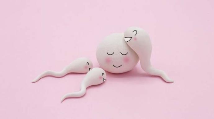 Sperm (meniye) dokunur musunuz?