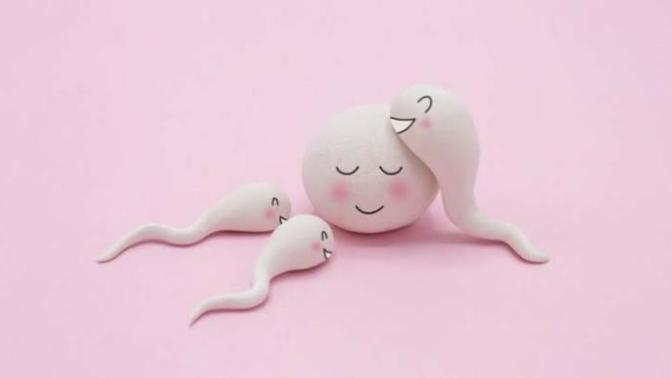 Sperm (meniye) dokunur musunuz?