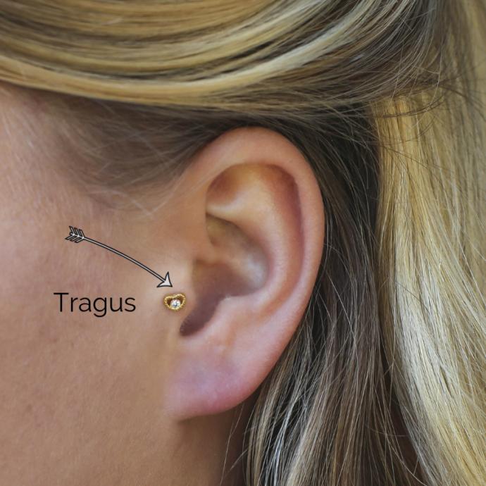 tragus piercing nedir?