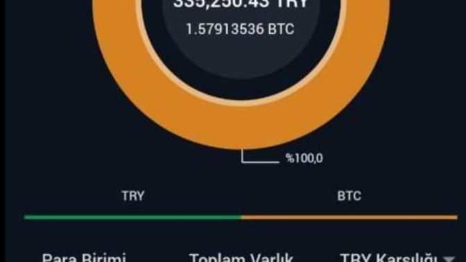 Sizce bitcoin daha ne olur?