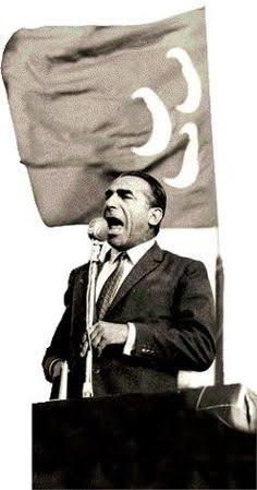 Alparslan Türkes hakkında ne düşünüyorsunuz?