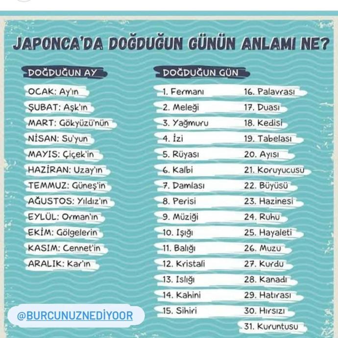 Japoncada Doğduğun Günün Anlamı Ne?