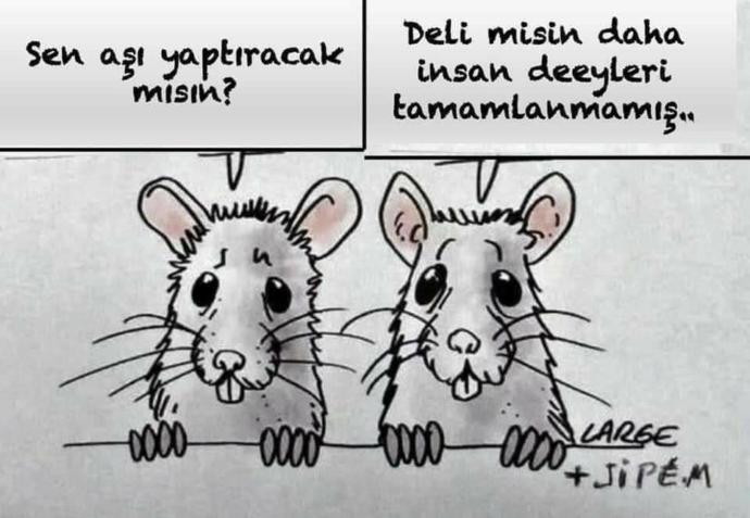 Aşı yaptıracak mısınız?