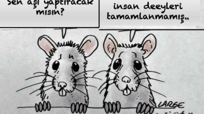 Aşı yaptıracak mısınız?