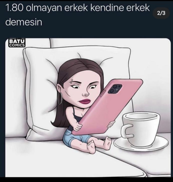 aklı başında olanları tenzih ederek: Türk Erkegini beğenmeyen ortalama bir Türk Kadını. Yeter da.