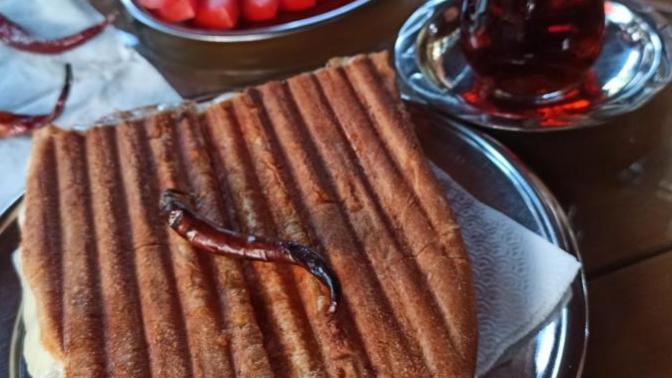 Tost Sever Misiniz?