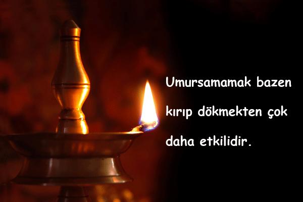 Muhteşem bir silah, umursamamak. Vuramaycağı ve kansız öldüremeyeceği hedef yok.