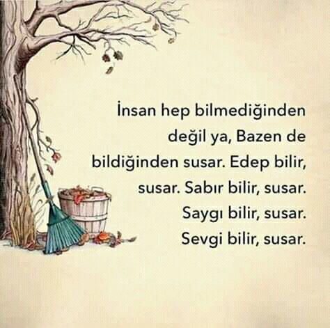 sormadan söylemek hamlıktır ne demek?.
