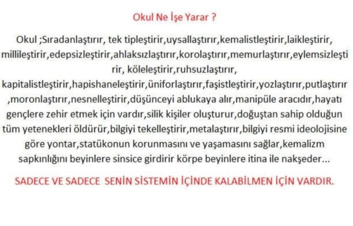 Okul ne işe yarar?