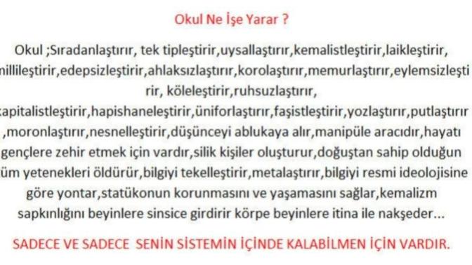 Okul ne işe yarar?