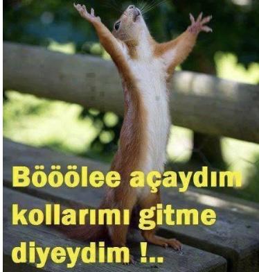 Sizin için git demek mi daha zor gitme demek mi?