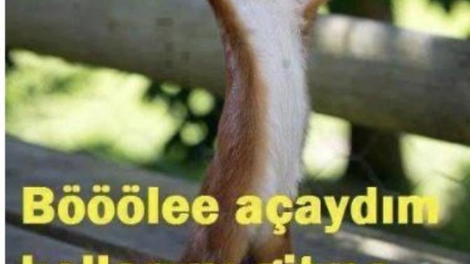 Sizin için git demek mi daha zor gitme demek mi?