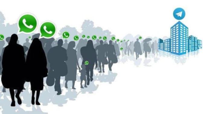 Whatsapp mı, Telegram mı?