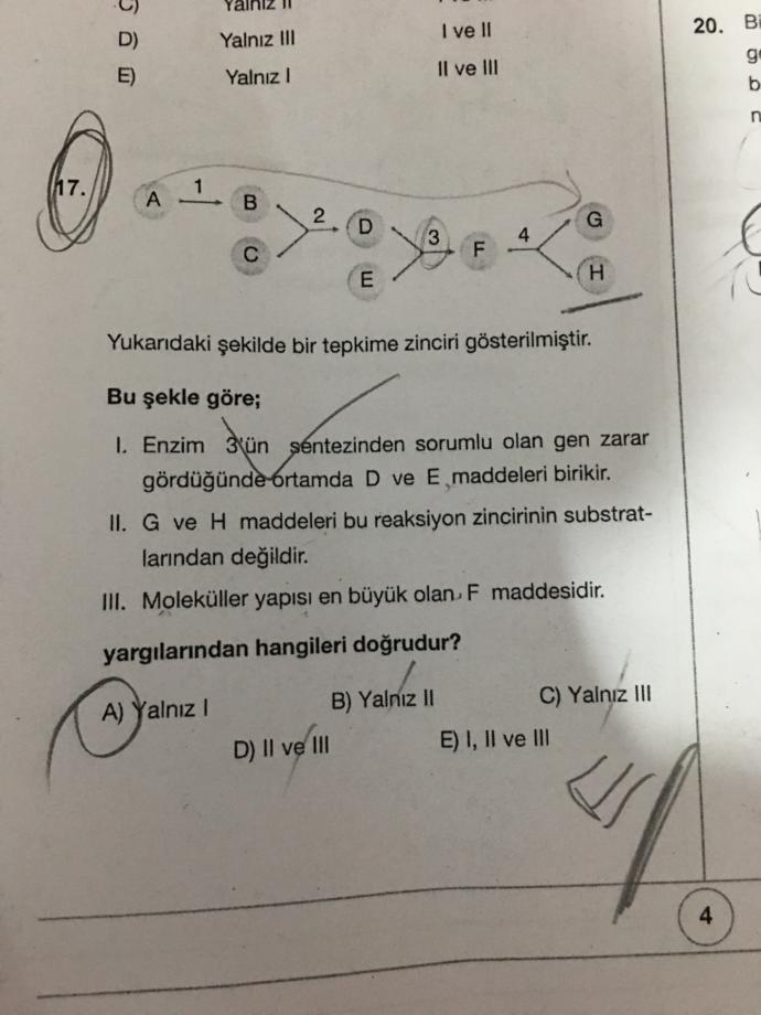 Soruma bakarmisiniz biyoloji anlayanlar?