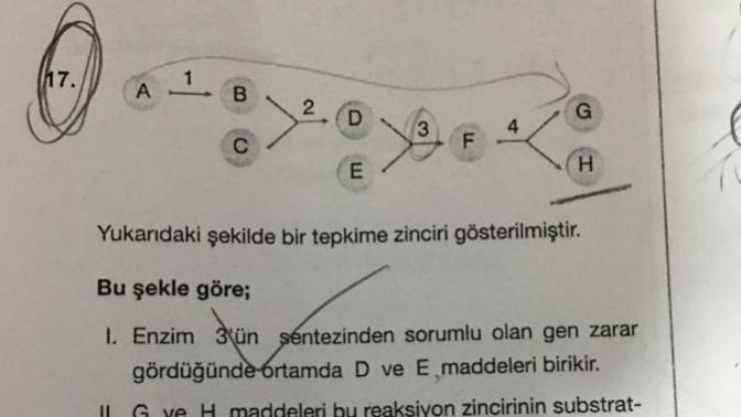 Soruma bakarmisiniz biyoloji anlayanlar?