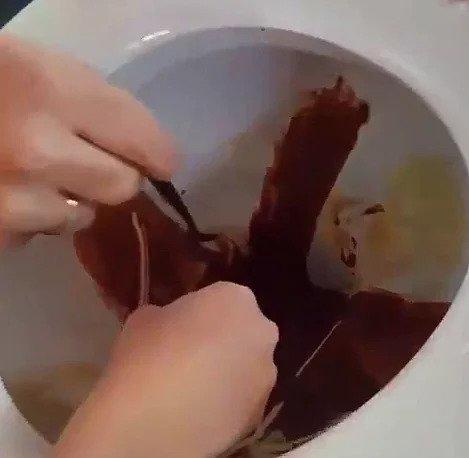 Ağzı kokan birisi yanınızda konuşsa tepkiniz ne olur?