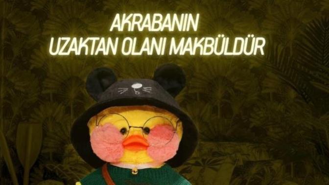 En iyi akraba uzakta olan akraba mıdır?