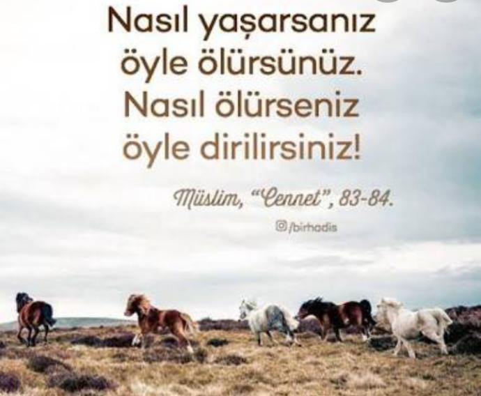 Nasıl yaşarsınız öyle ölürsünüz. Nasıl ölürseniz öyle dirilirsiniz Hadisini nasıl yorumluyor sunuz?