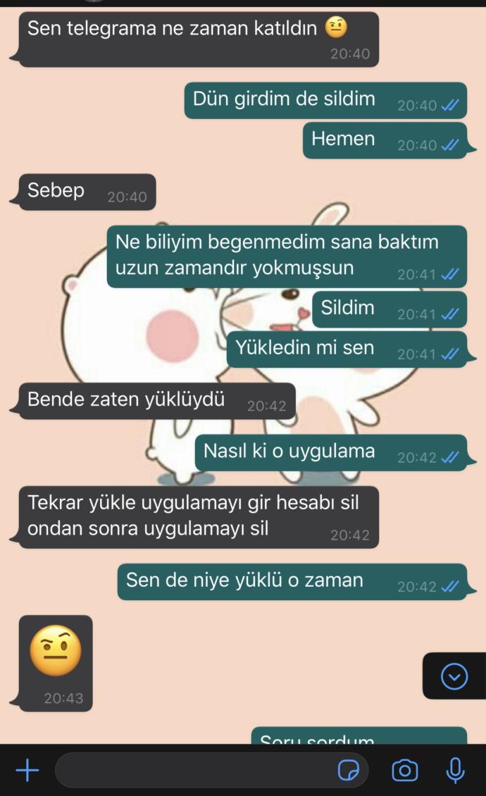 Sevgilimin kendisinde Telegram yüklü, bana sildiriyor neden?
