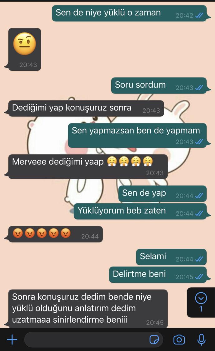 Sevgilimin kendisinde Telegram yüklü, bana sildiriyor neden?