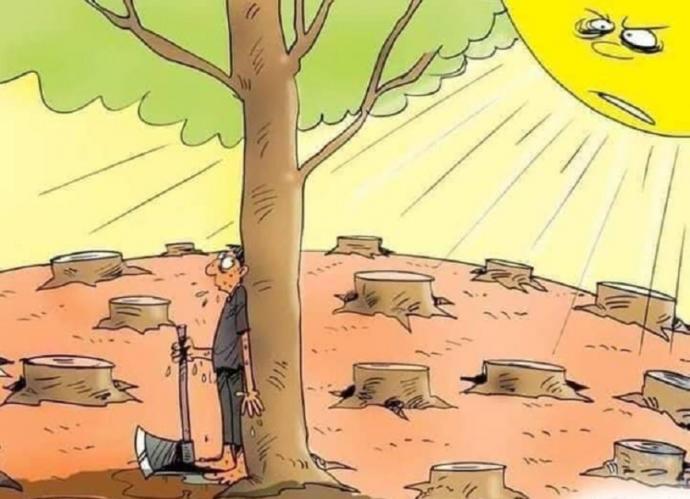 Doğaya zarar veren birini görseniz tepkiniz ne olurdu?