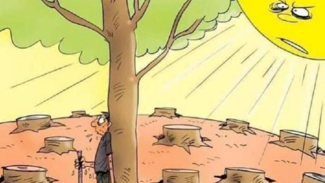 Doğaya zarar veren birini görseniz tepkiniz ne olurdu?