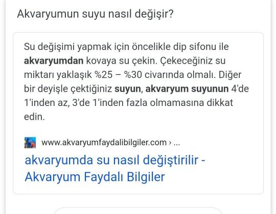 Balıklarım dipte duruyor?