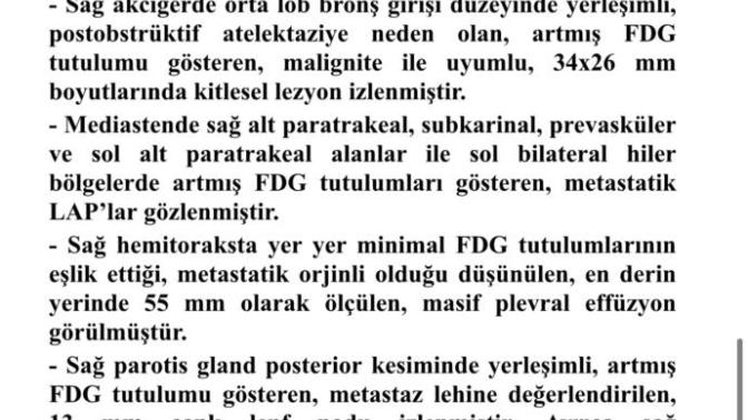 PET raporundan anlayan  var mı ?