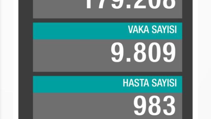 Korona virüs vaka tablosuna inanıyor musunuz?