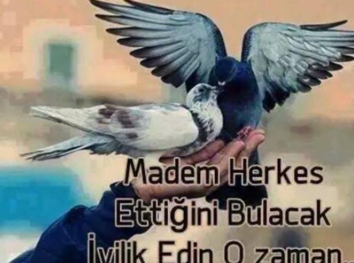 İyilik yapmayı sever misiniz ?
