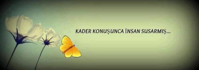 Verdiğiniz kararlar sizi pişman mı ediyor, mutlu mu?