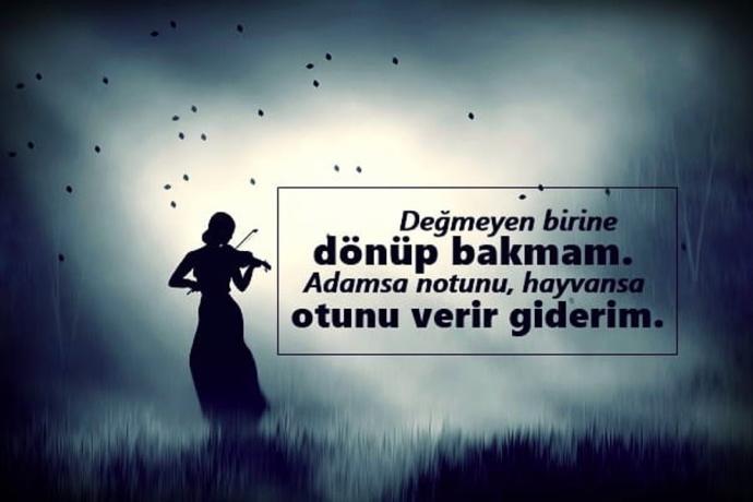 Öküze ot ver.