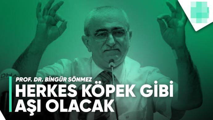Prof. Dr. Bingür Sönmez, Herkes Köpek Gibi Aşı Olacak! dedi, ne düşünüyorsunuz?