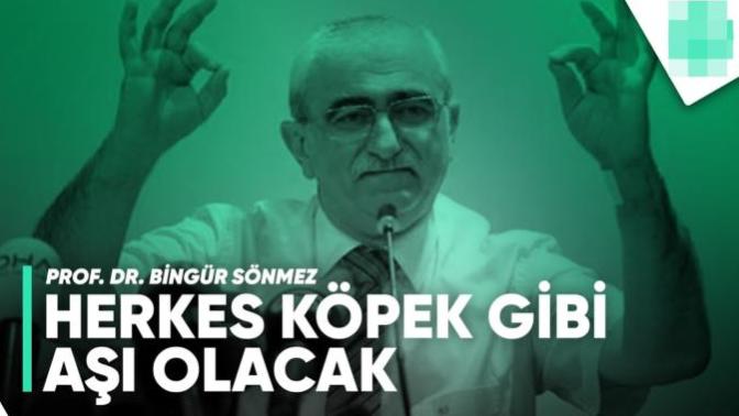Prof. Dr. Bingür Sönmez, "Herkes Köpek Gibi Aşı Olacak!" dedi, ne düşünüyorsunuz?