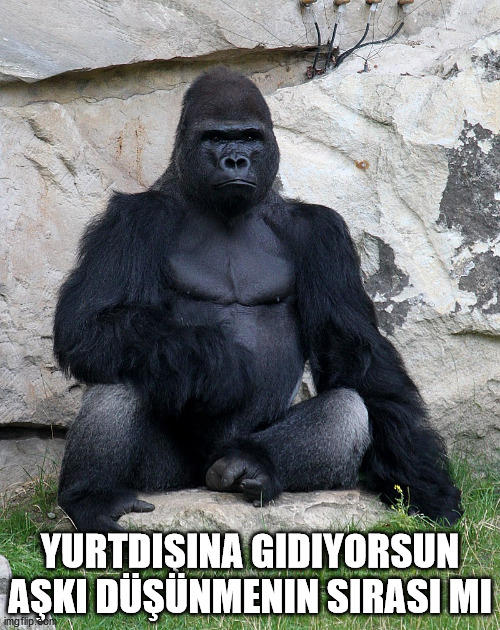 Erkek arkadaşım yurtdışına gideceğim için çok üzülüyor ne yapmalıyım?
