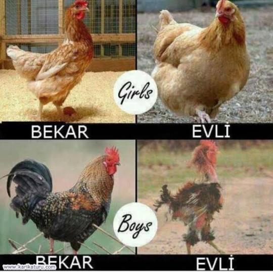 Bekar olmanın en iyi yanı nedir?