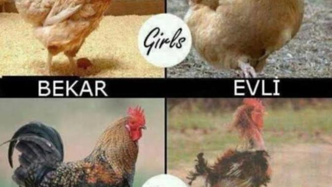 Bekar olmanın en iyi yanı nedir?