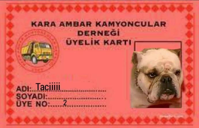 Tuzeykekinoğlu ile sizi derneğimize alır mıydık söyliyelim mi?