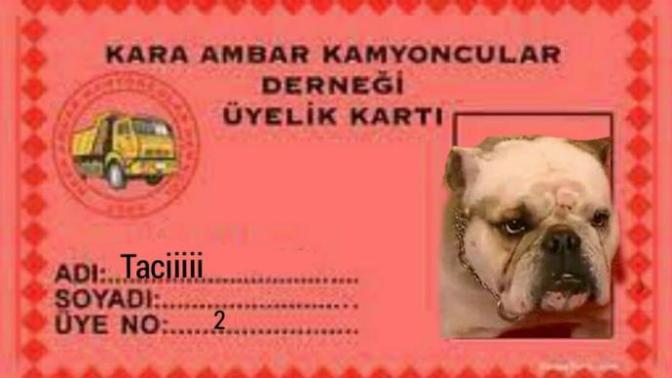 Tuzeykekinoğlu ile sizi derneğimize alır mıydık söyliyelim mi?