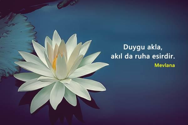 Ruhunuzu nasıl sakinleştirirsiniz?