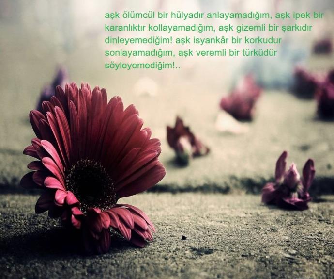 Aşkı tarif eder misiniz?